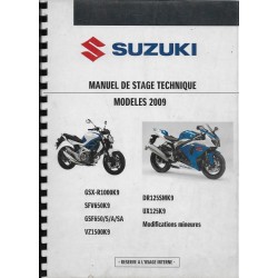 Manuel technique SUZUKI entretien modèles 2009