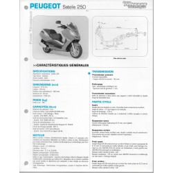 PEUGEOT SATELIS 250 de 2007  Fiche RMT